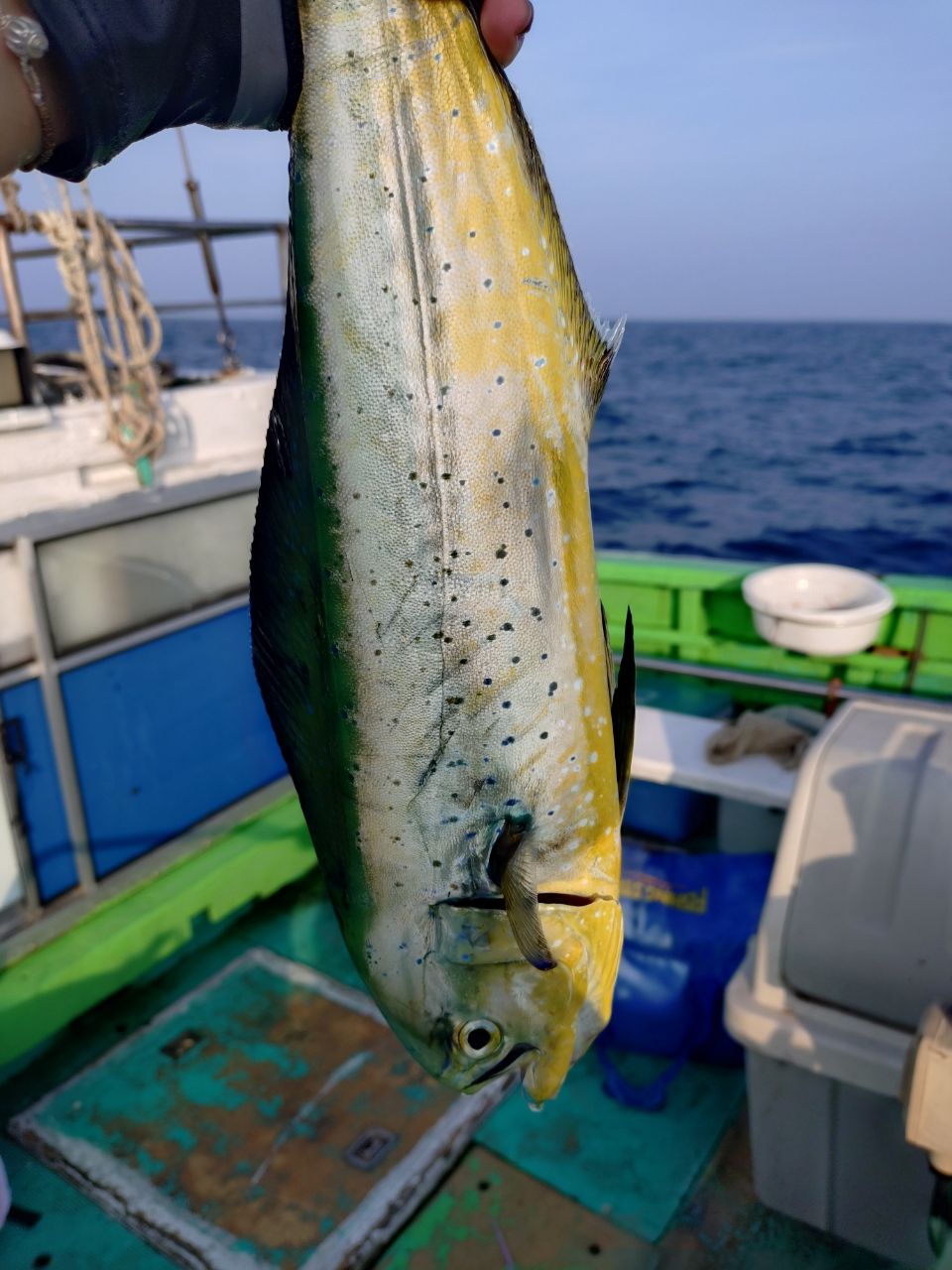 Saaya.natsuさんの釣果 2枚目の画像