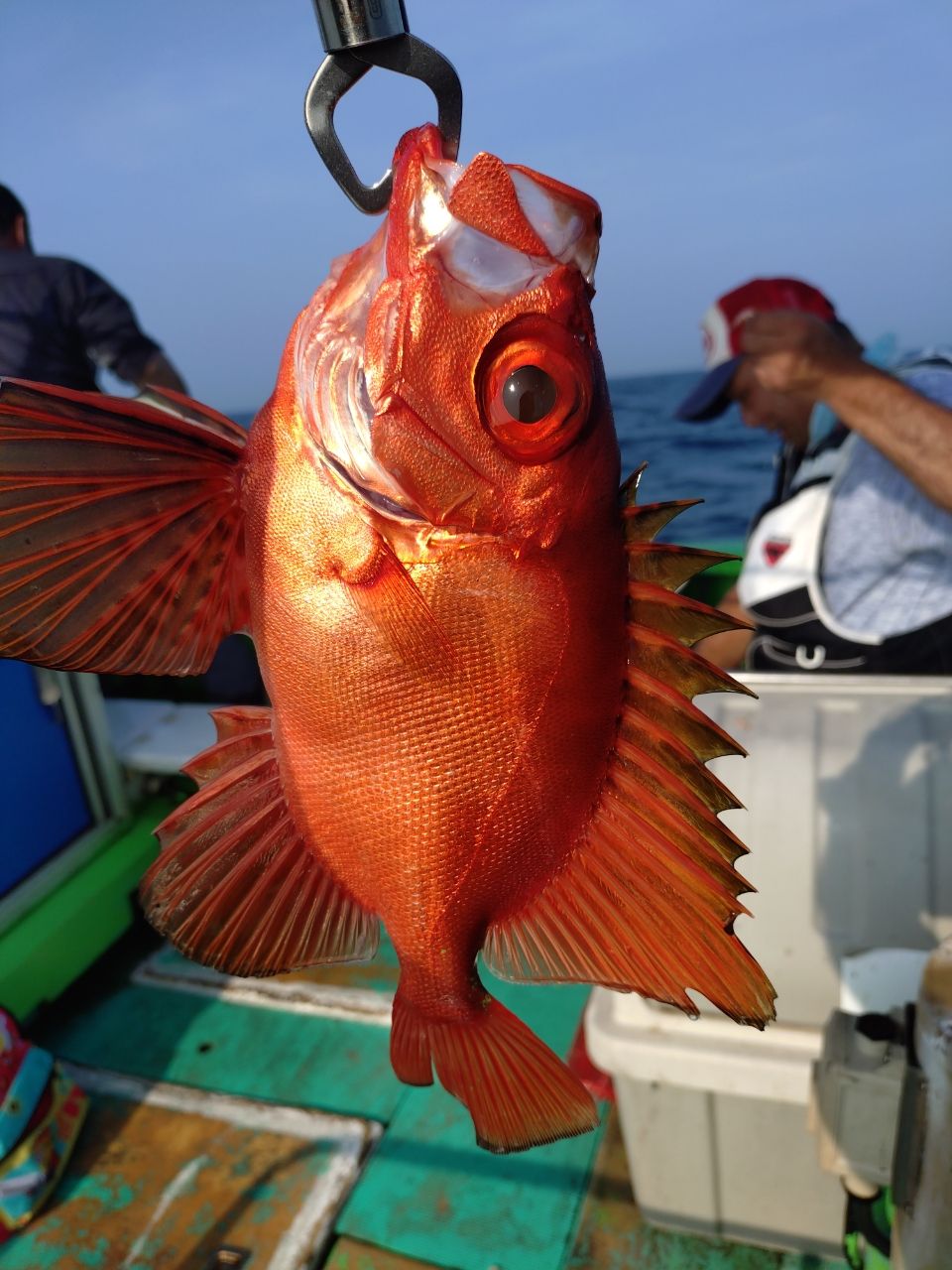 Saaya.natsuさんの釣果 3枚目の画像