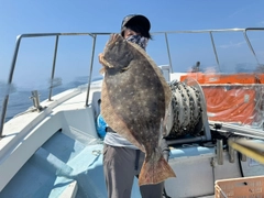 ヒラメの釣果