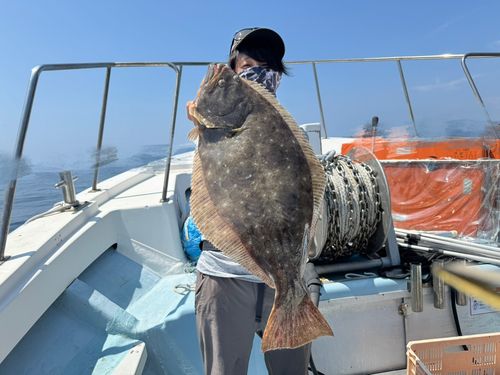 ヒラメの釣果