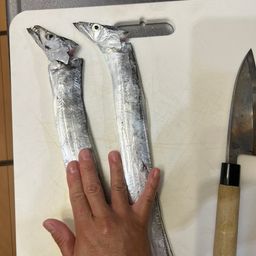 タチウオ