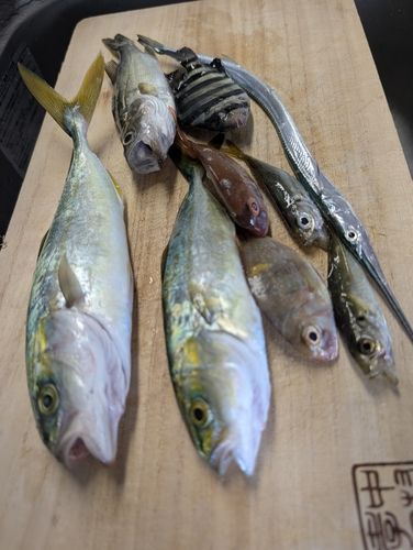 釣果