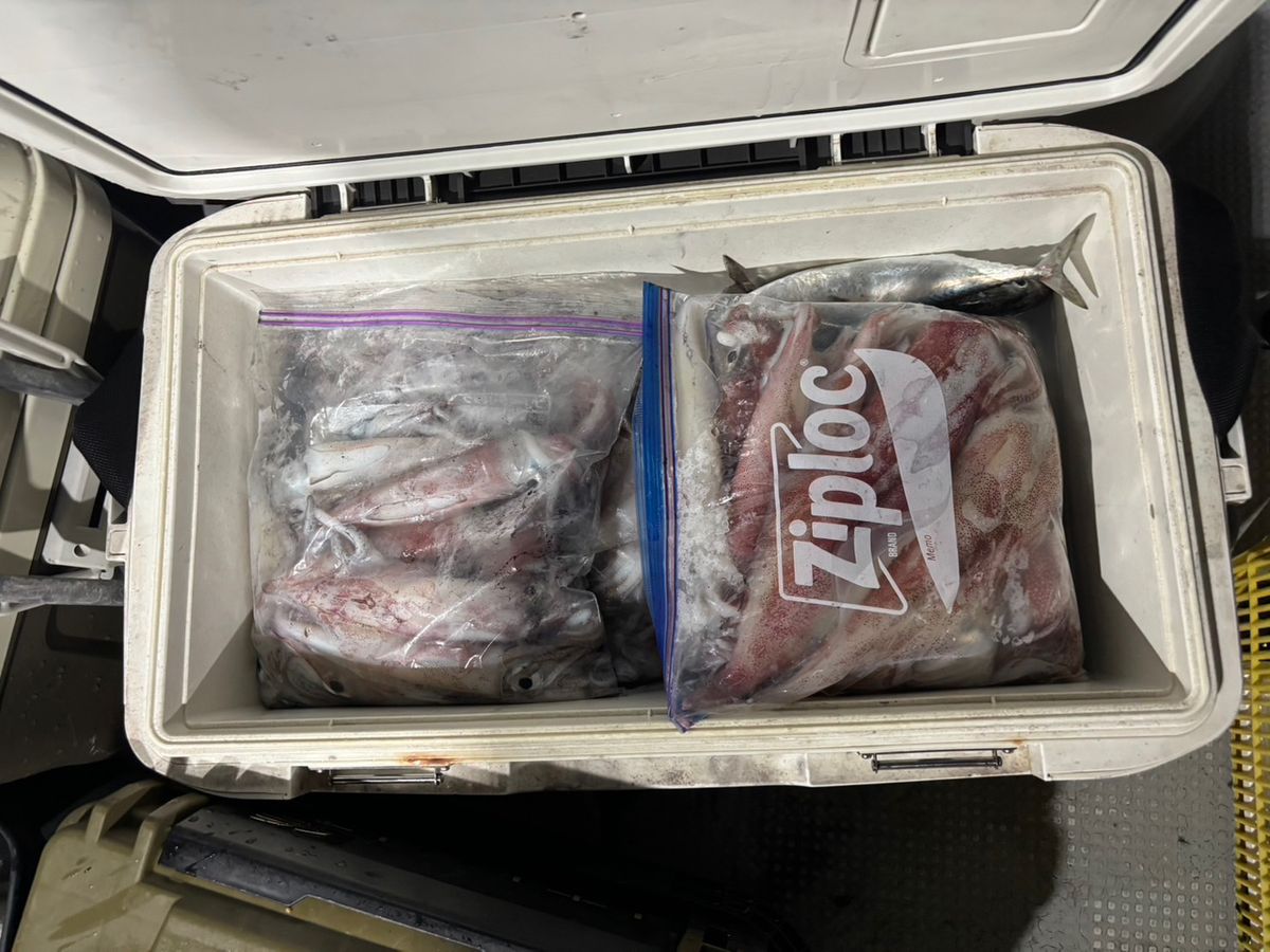 田畑良朗@なつき丸さんの釣果 2枚目の画像