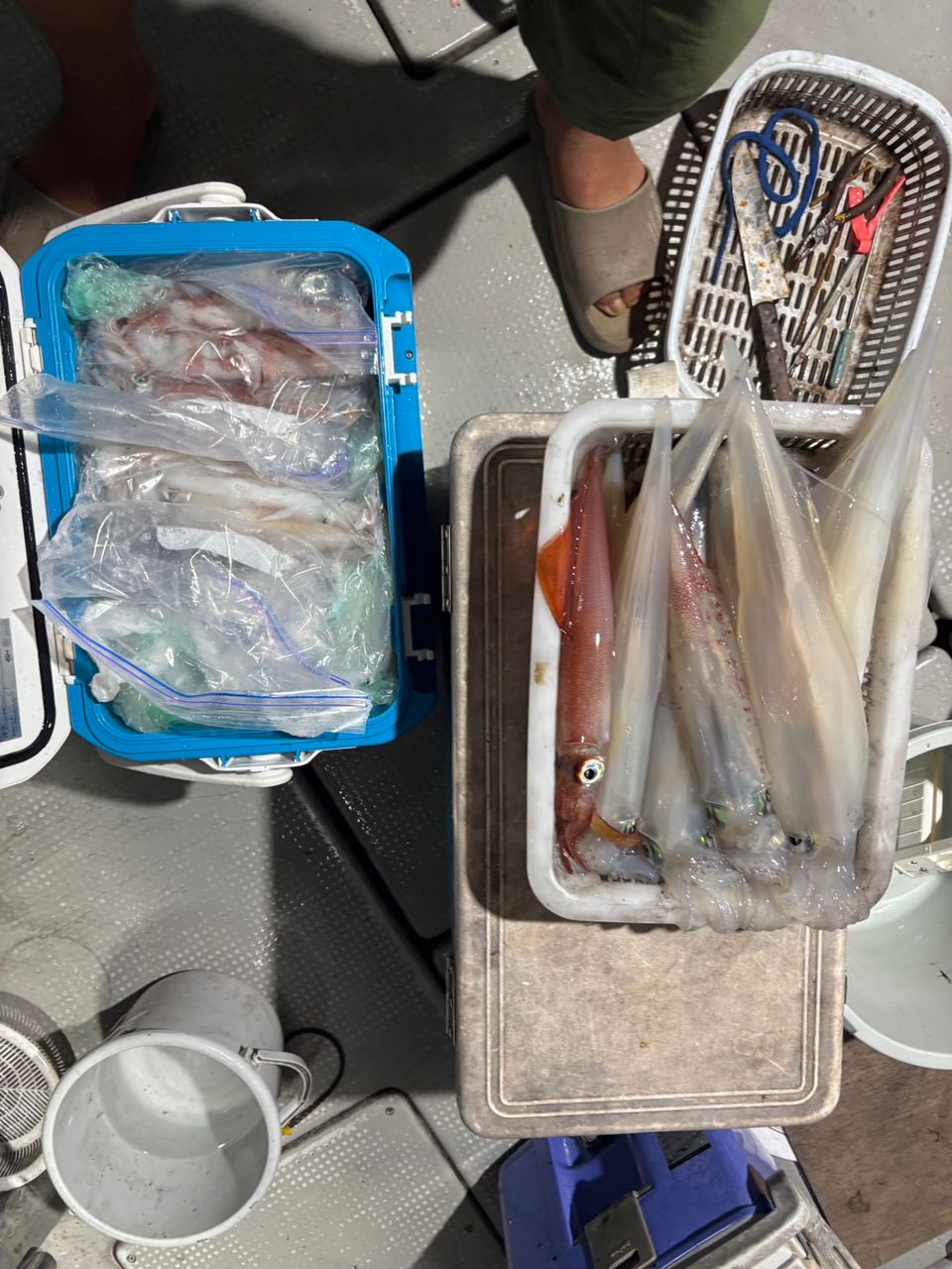 田畑良朗@なつき丸さんの釣果 3枚目の画像