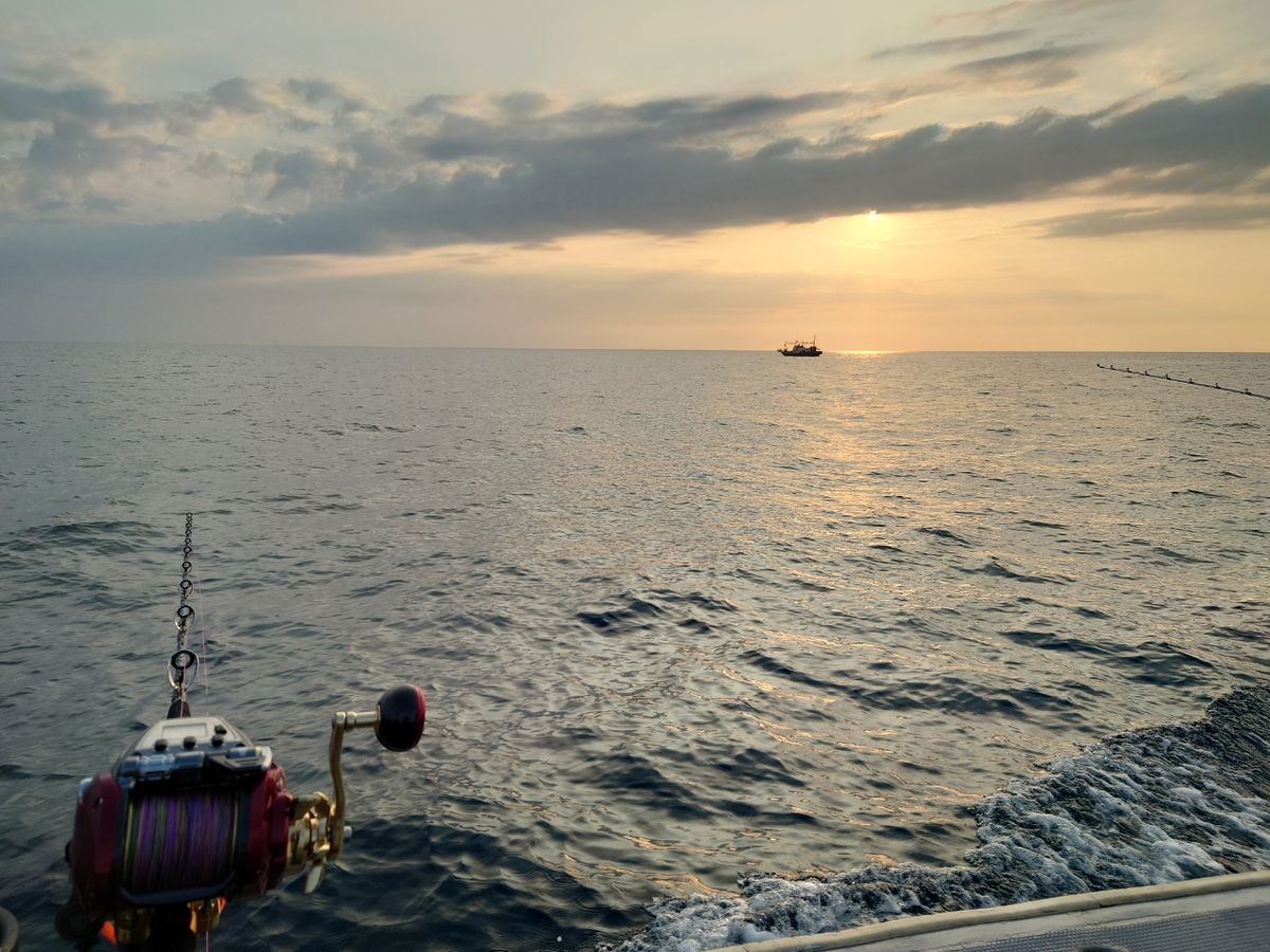 クロタカさんの釣果 1枚目の画像