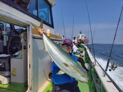 ブリの釣果