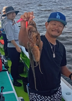 タコの釣果