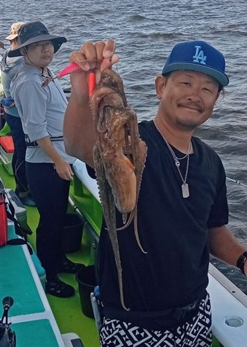 タコの釣果