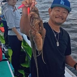タコ
