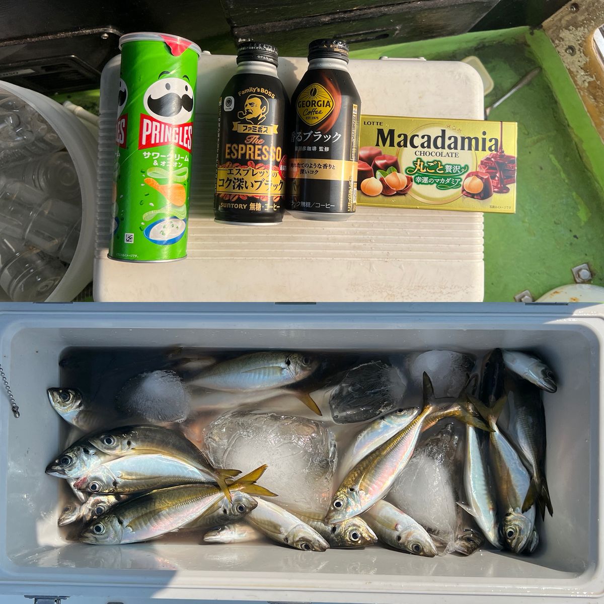 政信丸さんの釣果 3枚目の画像