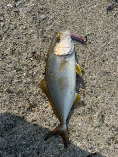 種田漁港