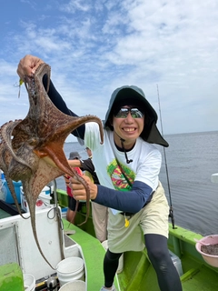 タコの釣果