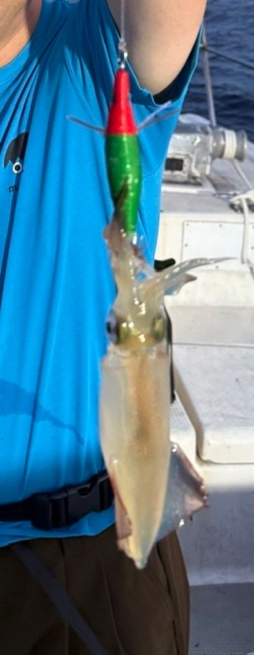 KSMIXさんの釣果 1枚目の画像