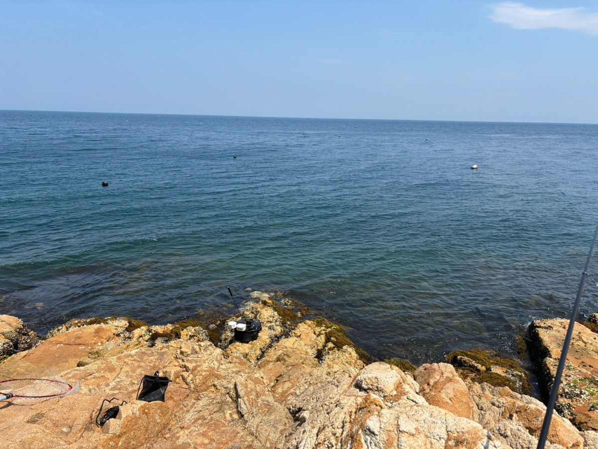 前チンさんの釣果 2枚目の画像