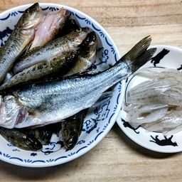 ハゼ