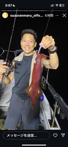 イカの釣果