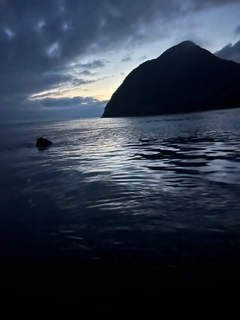 クロの釣果