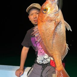 マダイ
