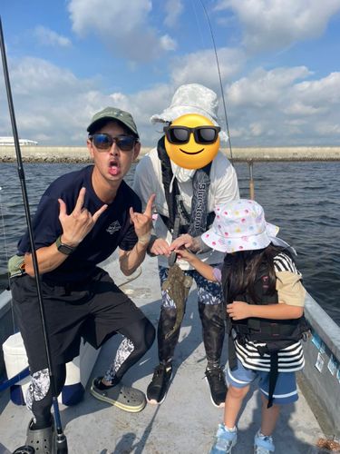 キスの釣果