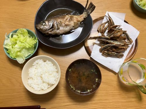カタクチイワシの釣果