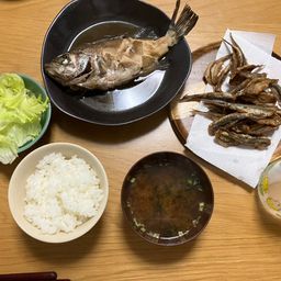 カタクチイワシ