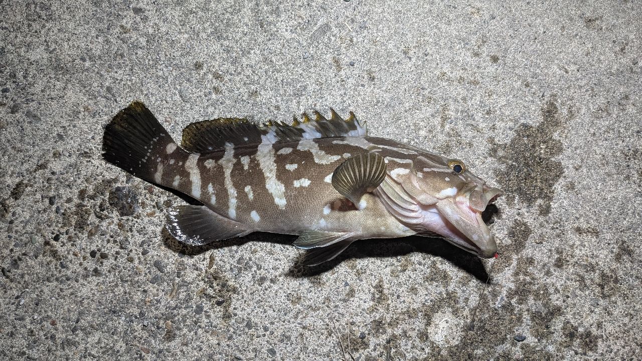 クエ