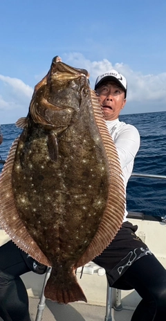 ヒラメの釣果