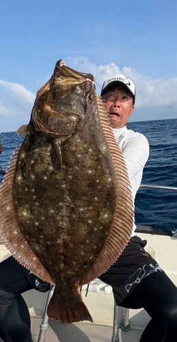 ヒラメの釣果
