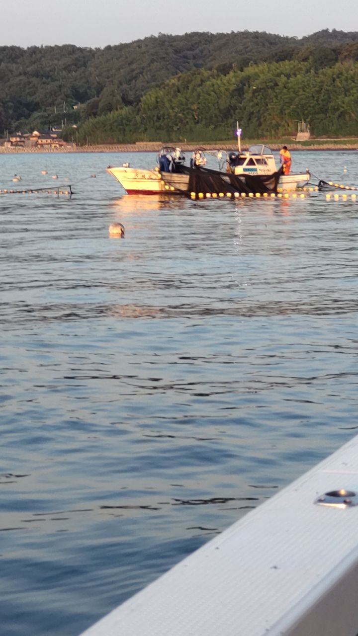 鮨太郎さんの釣果 2枚目の画像