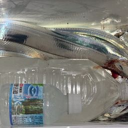 タチウオ