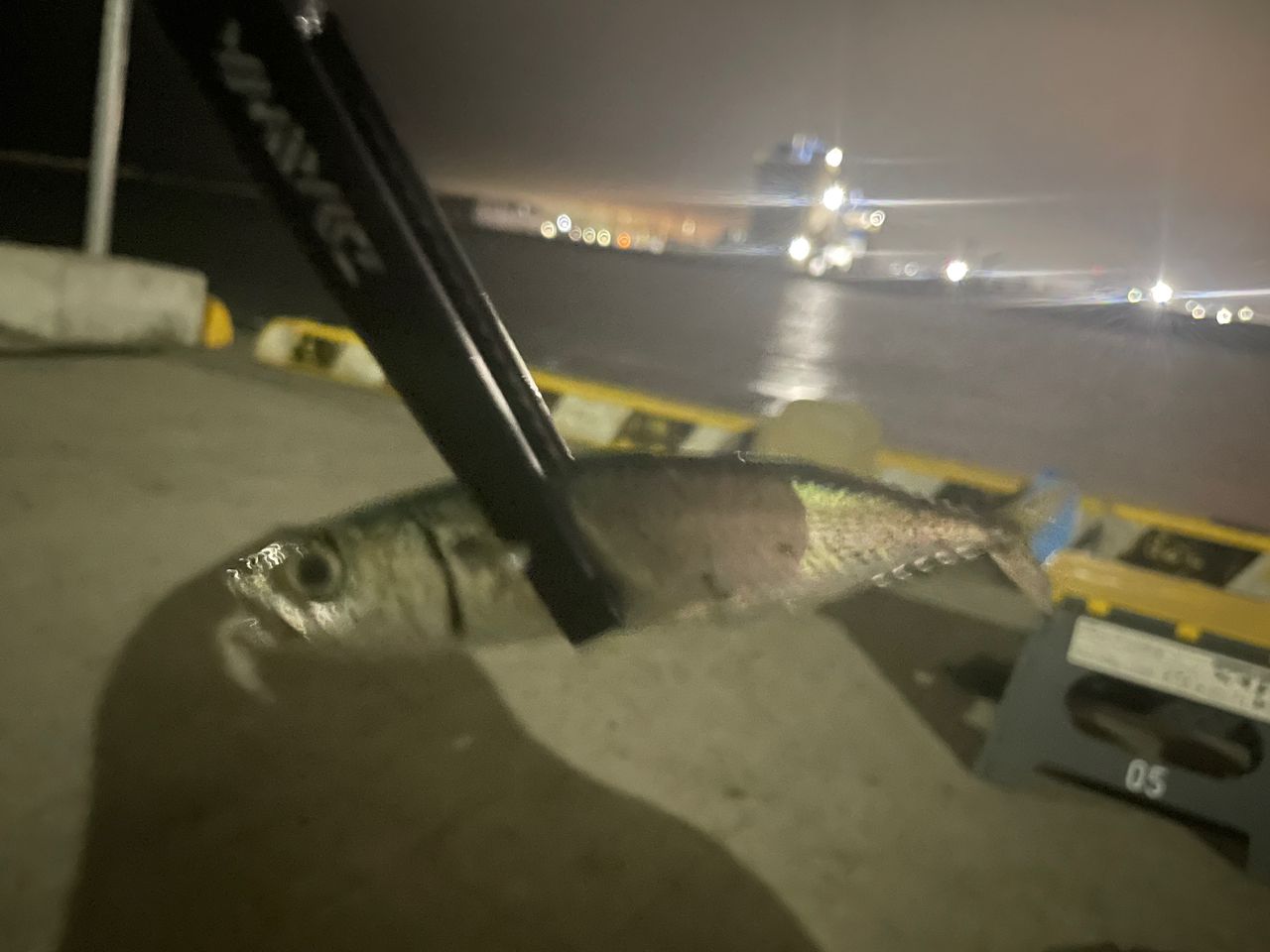 サバ