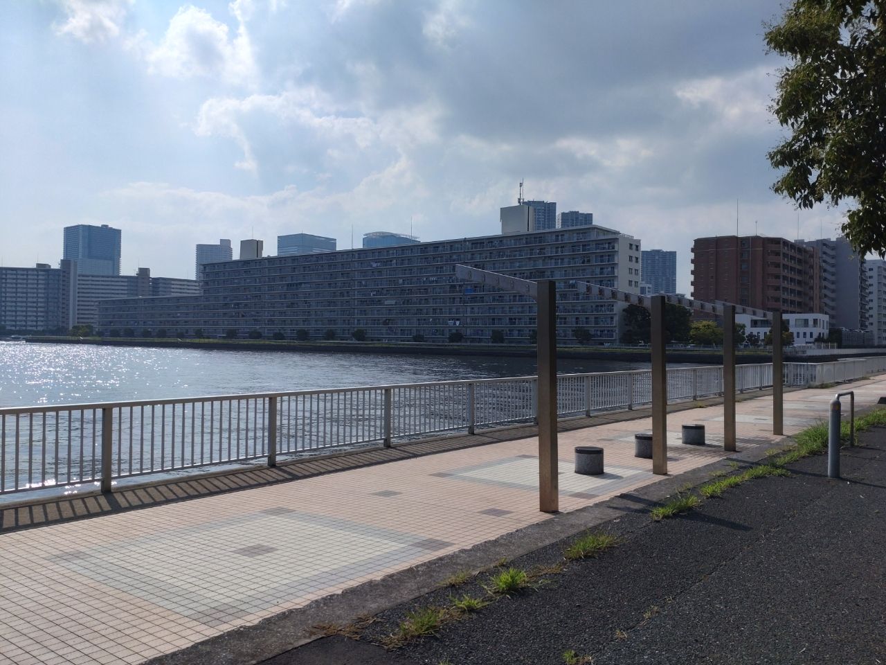 コノシロ