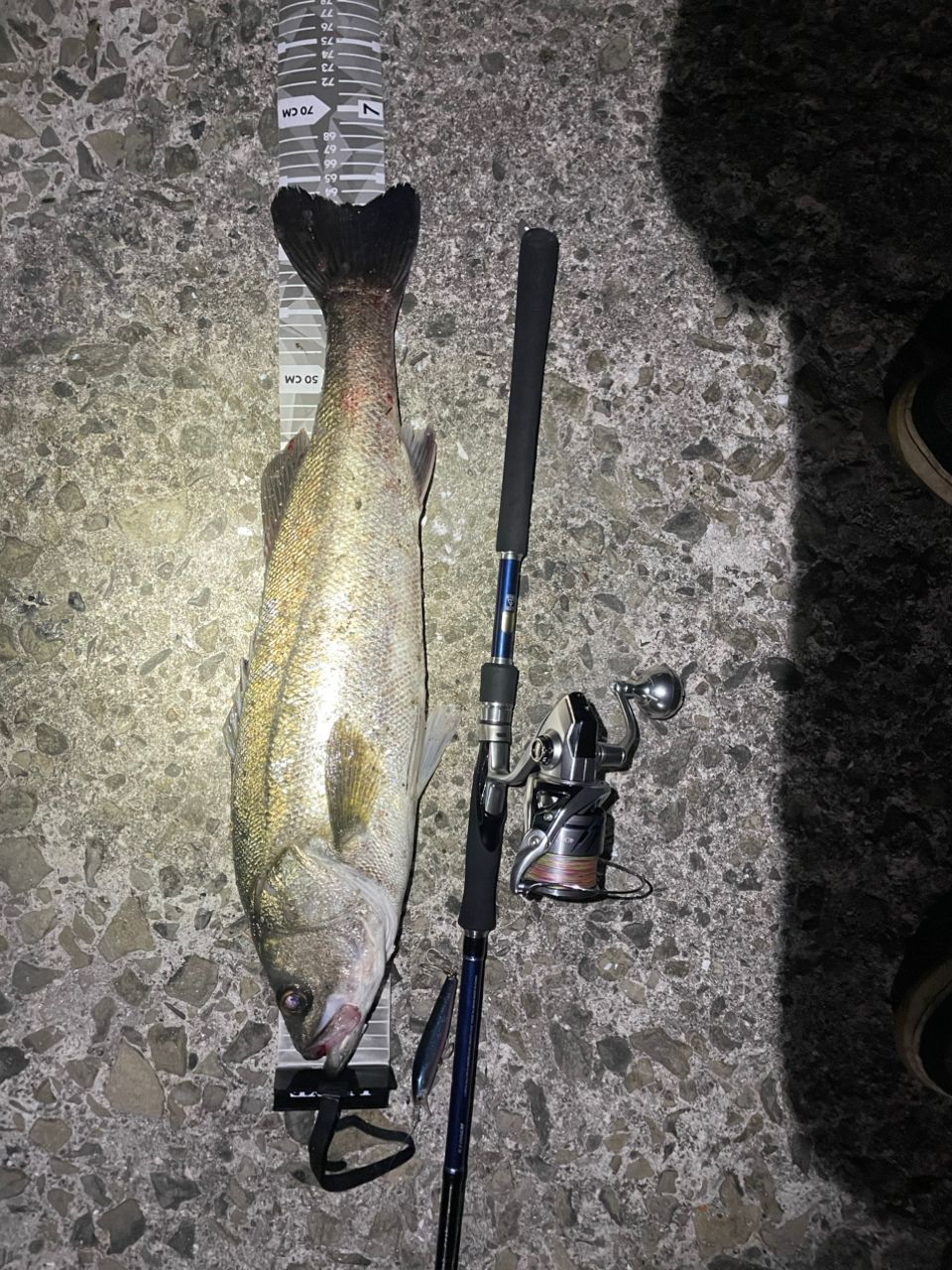 SHIMANO MOON SHOT S106M シーバスロッド シマノ ムーンショット