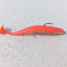 マゴチ