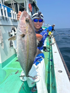カンパチの釣果