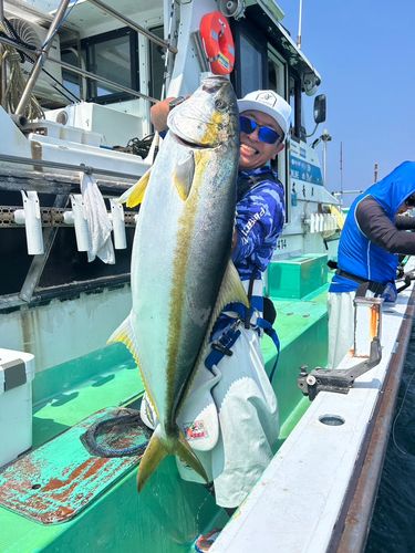 ヒラマサの釣果
