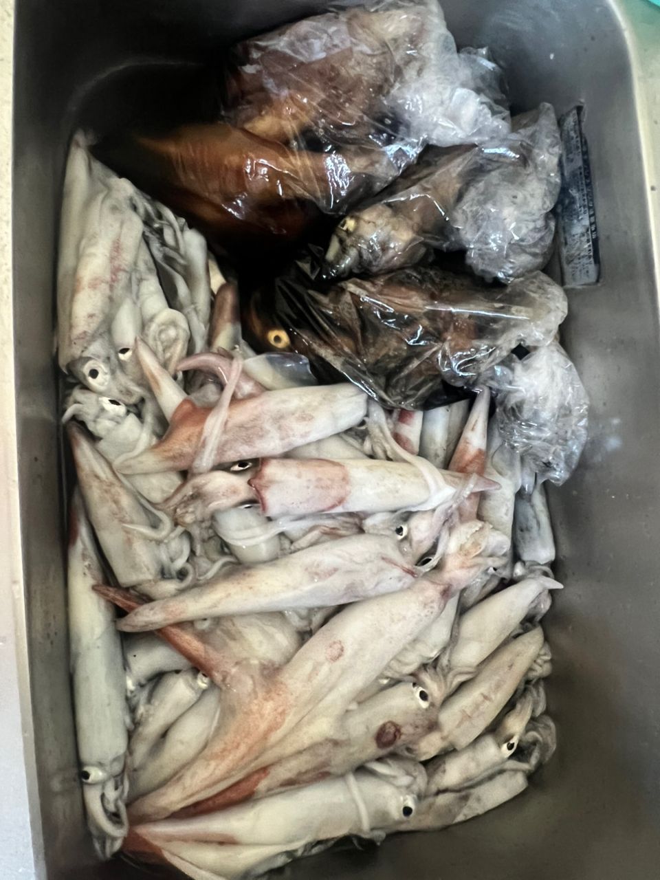 uraちゃんさんの釣果 3枚目の画像