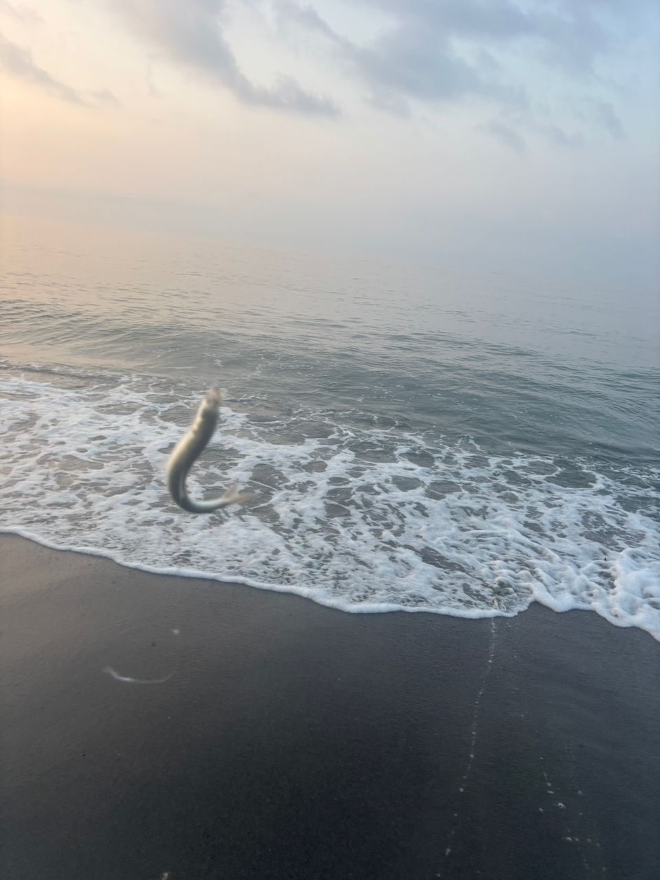 アジ