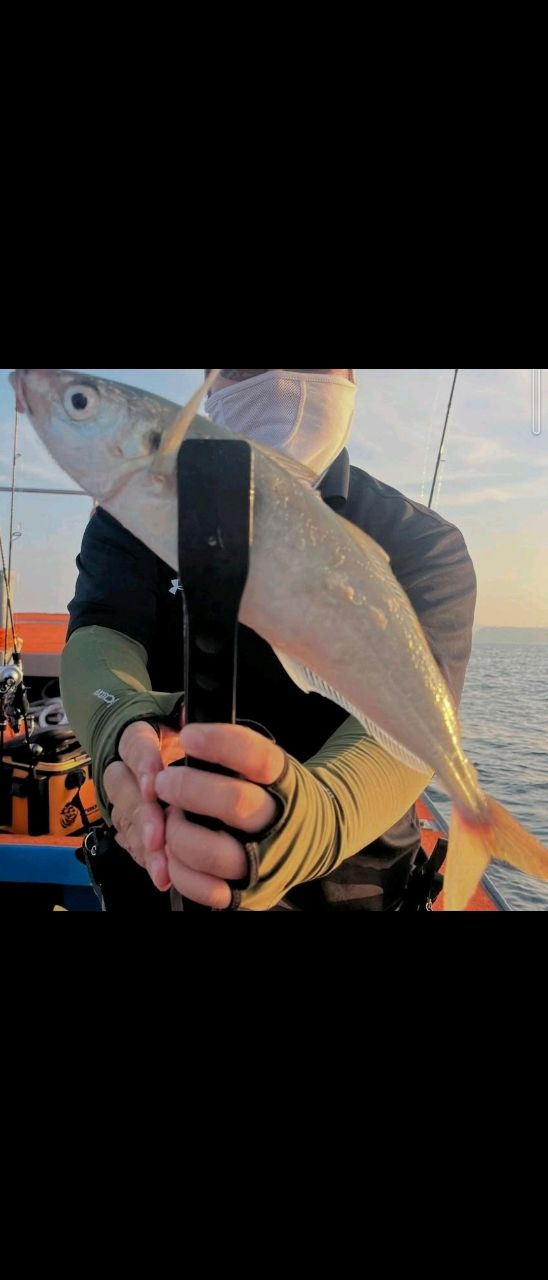 Dom16さんの釣果 1枚目の画像