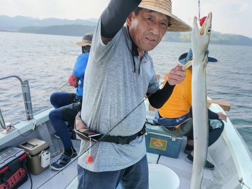 ハモの釣果