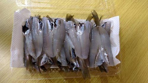 キスの釣果