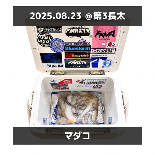 タコの釣果