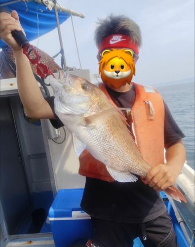 タイの釣果