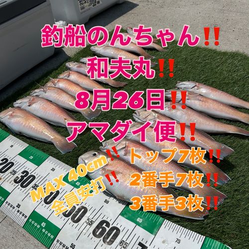 シロアマダイの釣果