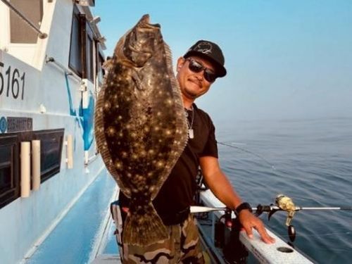 ヒラメの釣果