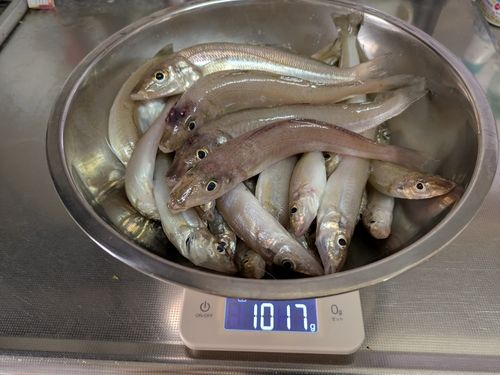 釣果
