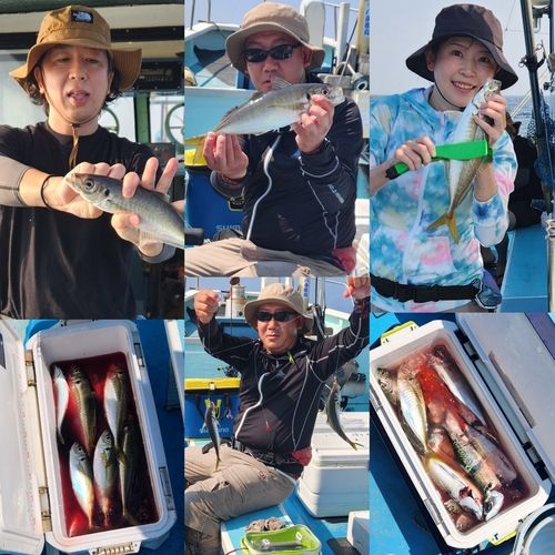 マアジの釣果