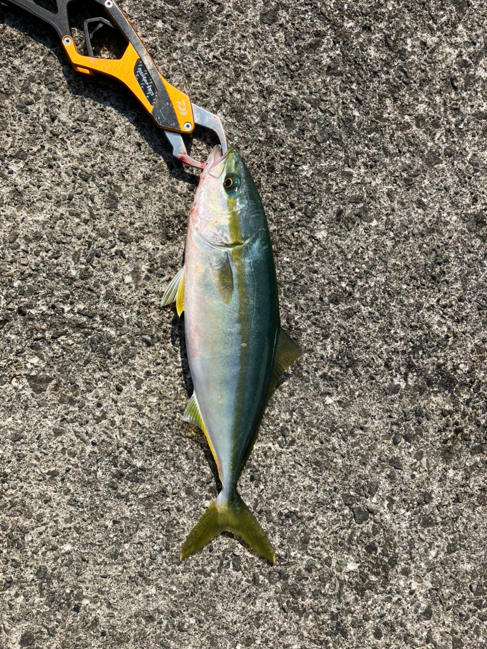 ‪メジャークラフト トリプルクロス ショアジギング TCX-1002LSJ メジャークラフト(Major Craft) トリプルクロス TCX-1002HH