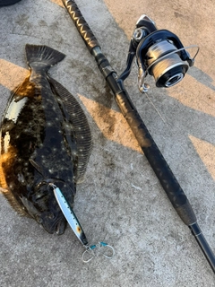 ヒラメの釣果