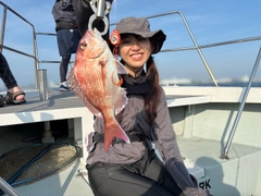 タイの釣果